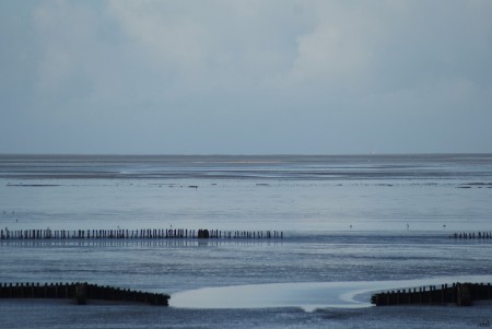 Het wad.