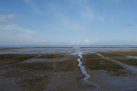 Het wad.