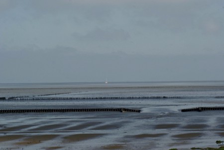 Het wad.