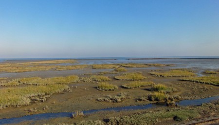 September 2016 het wad.