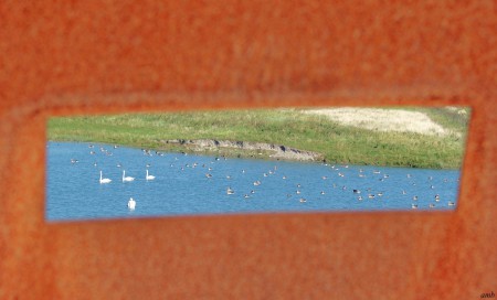 Doorkijk gat in de vogelwand.