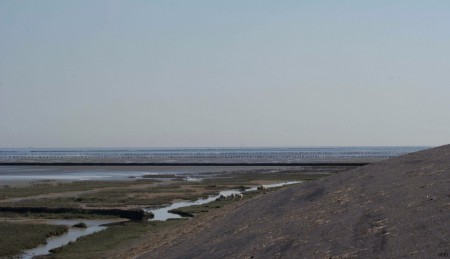 Het wad.