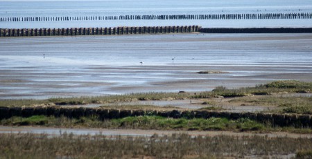 Het wad.