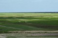 /album/beschermd-vogelgebied-de-ruidhorn-en-het-wad-bij-uithuizen/dsc08317amb-jpg/