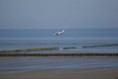 /album/beschermd-vogelgebied-de-ruidhorn-en-het-wad-bij-uithuizen/dsc03686amb-jpg/