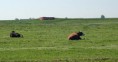 /album/beschermd-vogelgebied-de-ruidhorn-en-het-wad-bij-uithuizen/dsc03750amb-jpg/