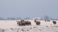 /album/winterlandschap/dsc02335amb1-jpg/