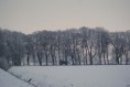 /album/winterlandschap/dsc02288amb-jpg/