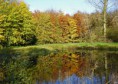 /album/herfst/p1000893amb-jpg/